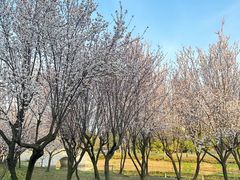 -石湖景区