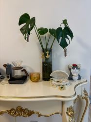 -美肤盾祛痘·问题肌头疗管理中心