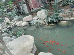 -中影星美大北门影城