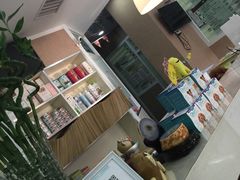 -瑞派长江宠物医院·猫科·外科·24小时夜护(谊城公寓分院)