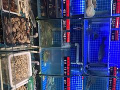 -捞围鲜·港式打边炉(海阳路店)