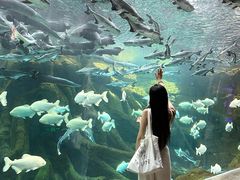 -哈尔滨波塞冬海底世界