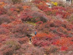 -周口店坡峰岭风景区
