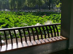 -四川大学(望江校区)