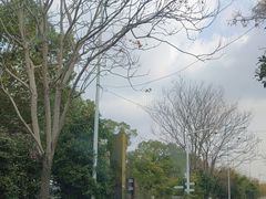 -雨花胜境