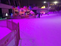 -沈阳奥体冰雪嘉年华