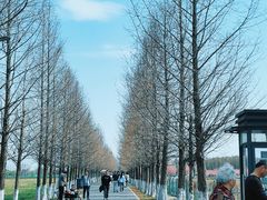 -嘉北郊野公园
