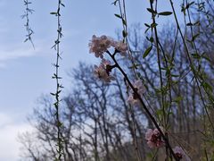 -湖洞水自然风景区