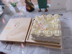 -BLACKSWAN黑天鹅(环球店)