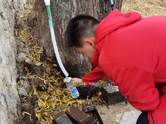 -阳台山自然风景区