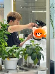 点击看大图 -FASHION PALACE hair+