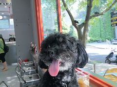 -喧闹·东方大气茶(鹅岭二厂店)