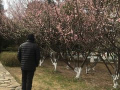 -白塘生态植物园