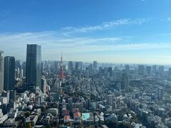 -六本木新城展望台(东京城市景观)