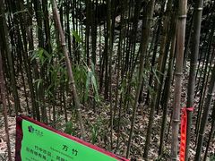 -常德桃花源景区