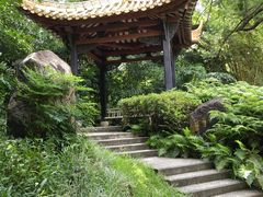 -广州兰圃