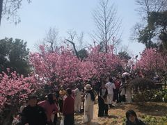 -龟山风景区-龟山电视塔