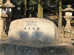 -奈良公园