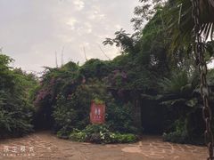-海南热带野生动植物园