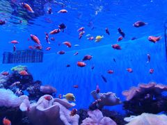 -多彩贵州城极地海洋世界