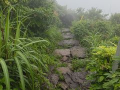 -东白山