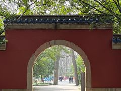 -灵谷景区