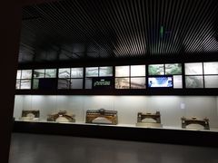 -中国庆元廊桥博物馆