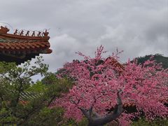 -珠海圆明新园