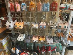 -猫咪博物馆(顶澳仔猫街店)