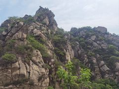 -大岭沟猕猴桃谷风景区