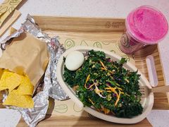 -油梨树 AVOCADO TREE(亮马桥店)