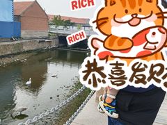 -烟墩角天鹅湖