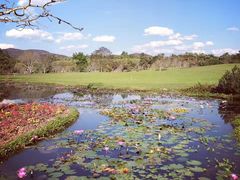 -中国科学院西双版纳热带植物园