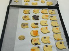 -食间旅人DIY烘焙工作室