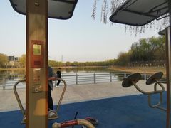 -大兴滨河森林公园