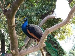 -泉州海丝野生动物世界