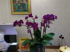 -瑞辰茶空间·商务·掼蛋·活动 (团结湖店)