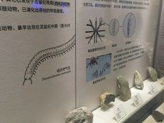 -贵州省地质博物馆