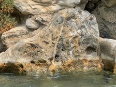 -仁爱团泊湖温泉中心