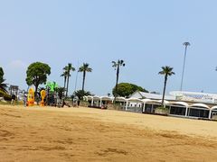 -碧海金沙