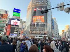 -涩谷区