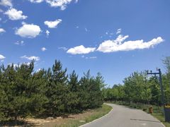 -东郊湿地公园