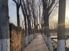 -回龙观体育文化公园