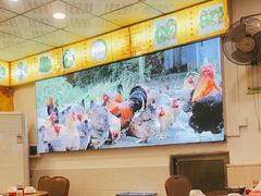 -鼎记胡椒猪肚鸡美食(德庆大道店)