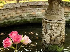 -Golden Lily河内巴黎法越料理餐厅(建国西路店)