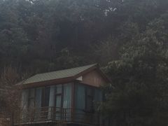 -欢乐松鼠谷