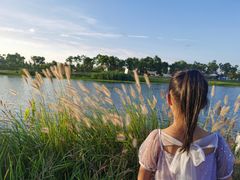 -春花秋色城市公园