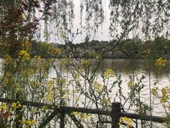 -南汇桃花村