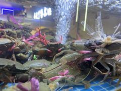 -徐记小怪兽肉蟹煲(中央大街店)