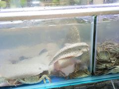 -四海蒸鲜蒸汽海鲜自助(北戴河店)